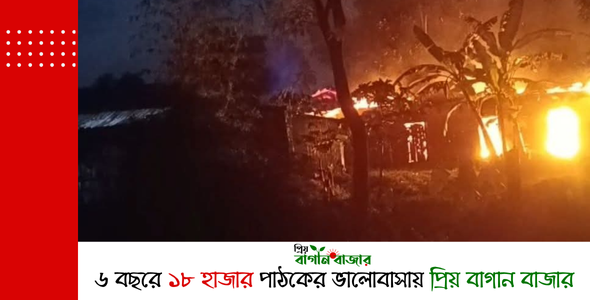 হেয়াকো মাছ বাজারে রাতের আঁধারে আগুন, স্থানীয়দের প্রচেষ্টায় রক্ষা পেল বাজার