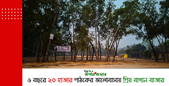 বাগান বাজার ইউনিয়নের দক্ষিণ মোহাম্মদপুর খেলার মাঠ সংলগ্ন সংরক্ষিত বনাঞ্চলে গাছ কাটার চেষ্টা, এলাকাবাসীর প্রতিরোধ